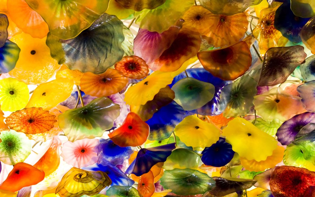 Backlit blown glass flowers in many colours, reflecting the varied sensory routines of autistic adults
